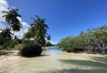 Las 5 mejores playas del Caribe para el 2026 que todavía no están masificadas