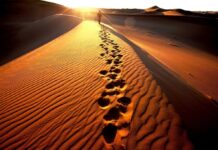 Los 5 desiertos que no puedes dejar de visitar