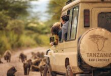 Los 5 mejores destinos del mundo para combinar voluntariado breve y vacaciones en el 2026