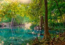 Los 5 parques nacionales de Estados Unidos perfectos para un primer viaje de naturaleza desde Miami en el 2026