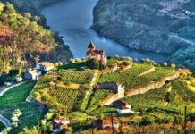 Los 5 mejores destinos de Europa para amantes del vino en el 2026