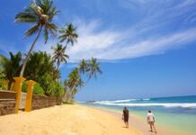 Las 5 razones para viajar a Sri Lanka en el 2026